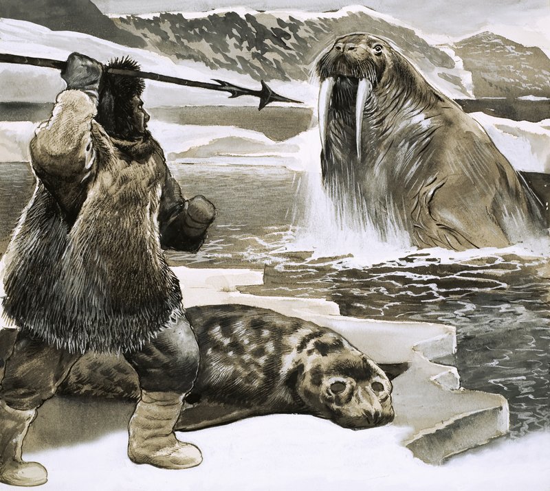 Eskimo Attacking Walrus by English School