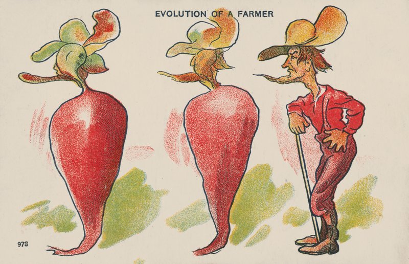 Evolution of a Farmer by English School