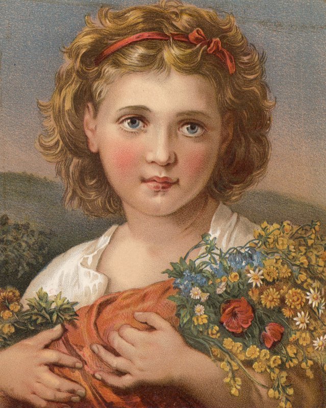 Flowers of the Field by English School