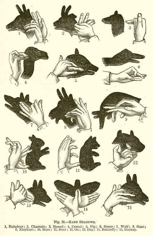 Hand Shadows by English School