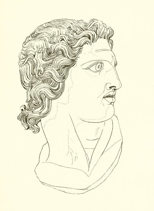 Head, Displaying Manly Vigour and Heroic Resolution by English School