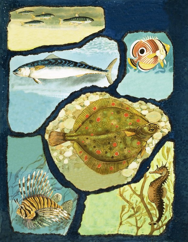 How Fish Escape Their Enemies by English School