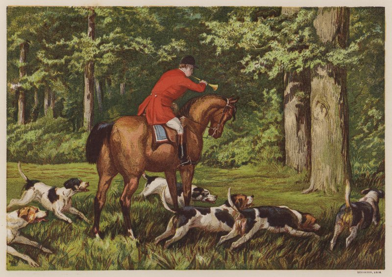 Hunting with hounds by English School