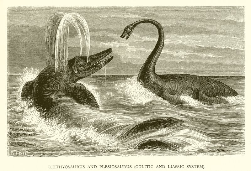 Ichthyosaurus and Plesiosaurus, Oolitic and Liassic System by English School