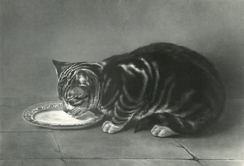 The Glutton by English School