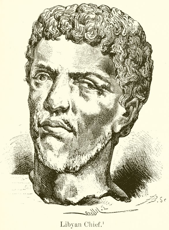 Libyan Chief by English School