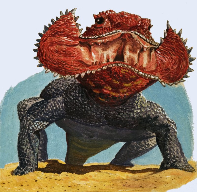 Lizard by English School