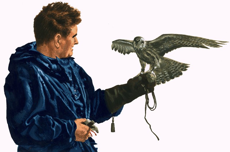 Man Holding a Bird of Prey by English School