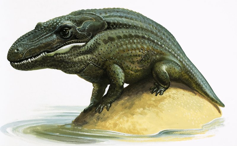 Mastodosaurus by English School