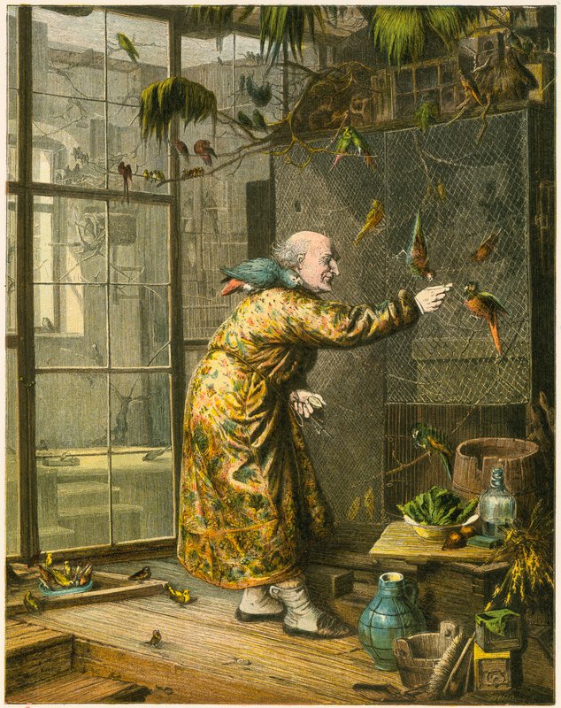 Old man in his aviary by English School