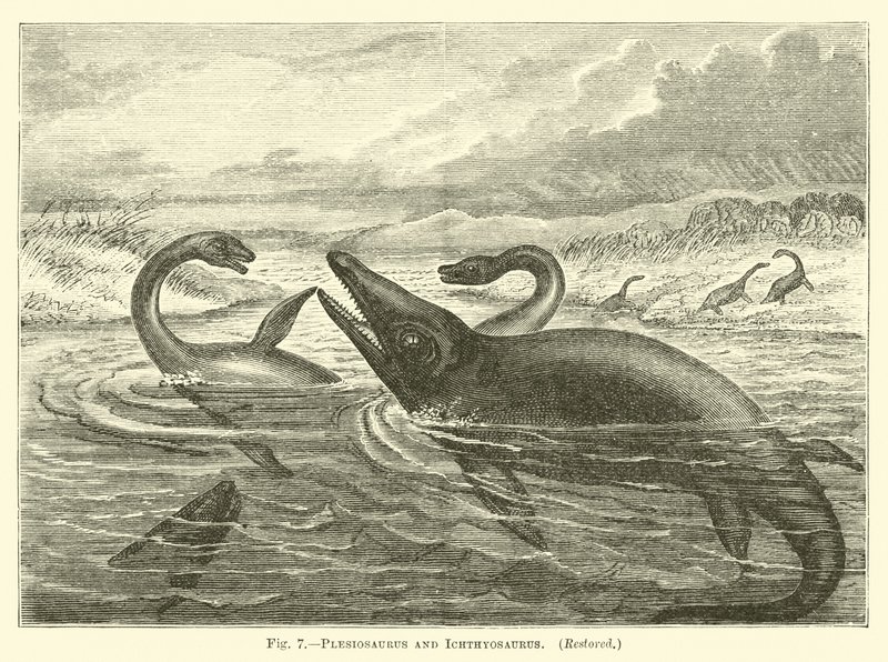 Plesiosaurus and Ichthyosaurus by English School