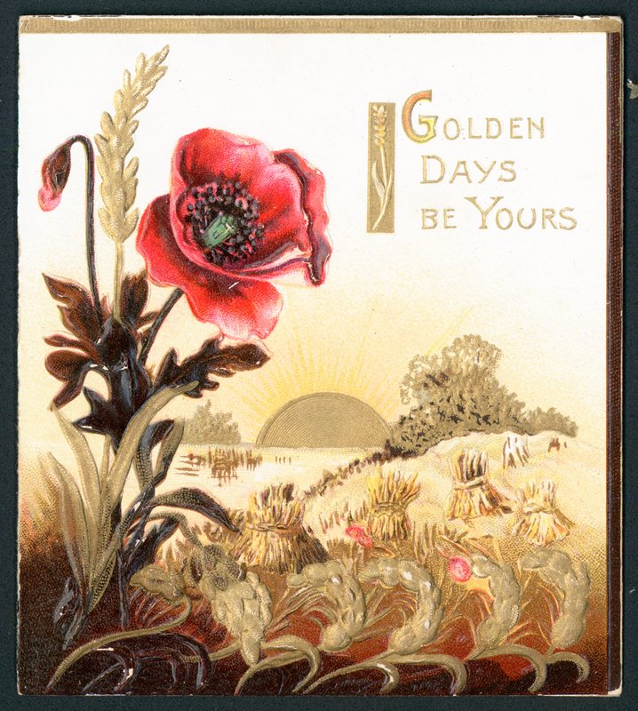 Poppy in field at Harvest Time by English School