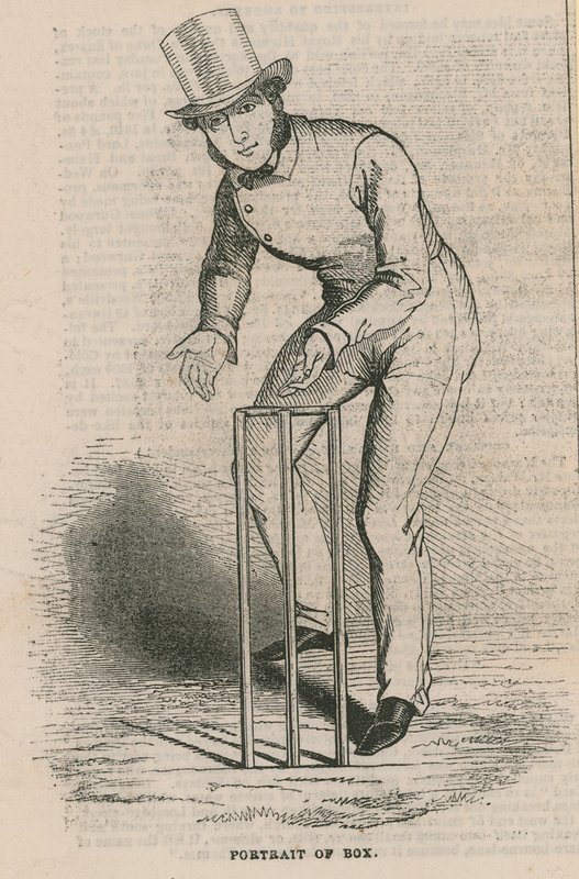 Portrait of Box by English School