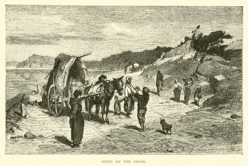 Scene on the Shore by English School