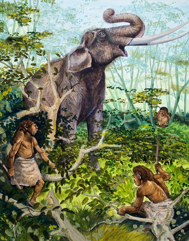 Stone Age Man and Elephant by English School
