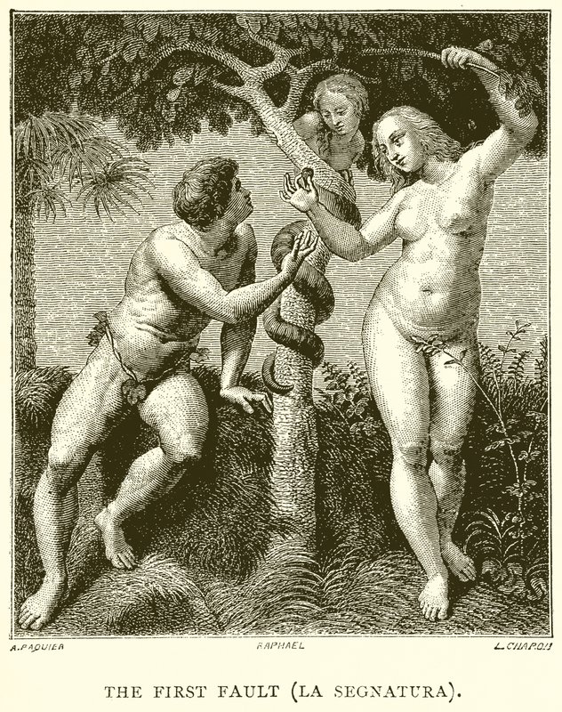 The First Fault by English School