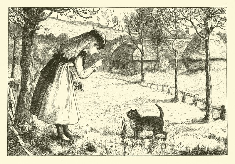 The Lazy Cat by English School
