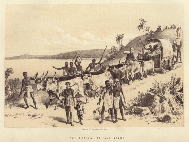 The Arrival at Lake Ngami by English School