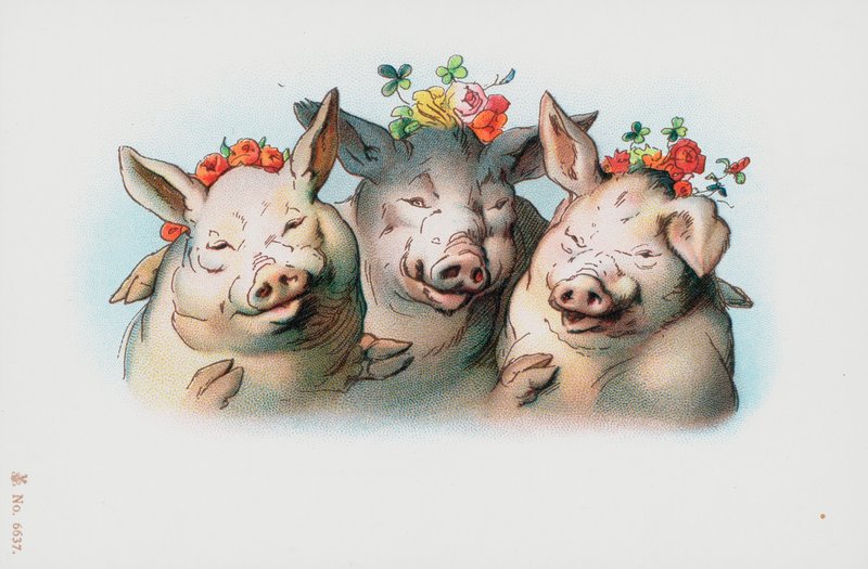 Three Pigs with Flowers on Their Heads by English School