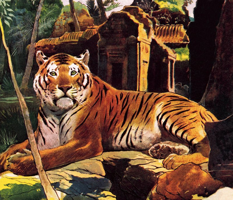 Tiger in the Ruins by English School