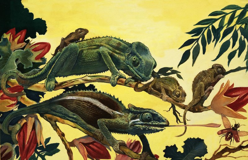 Unidentified lizards by English School