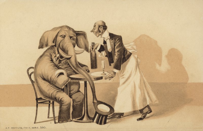 Waiter Serves an Elephant by English School