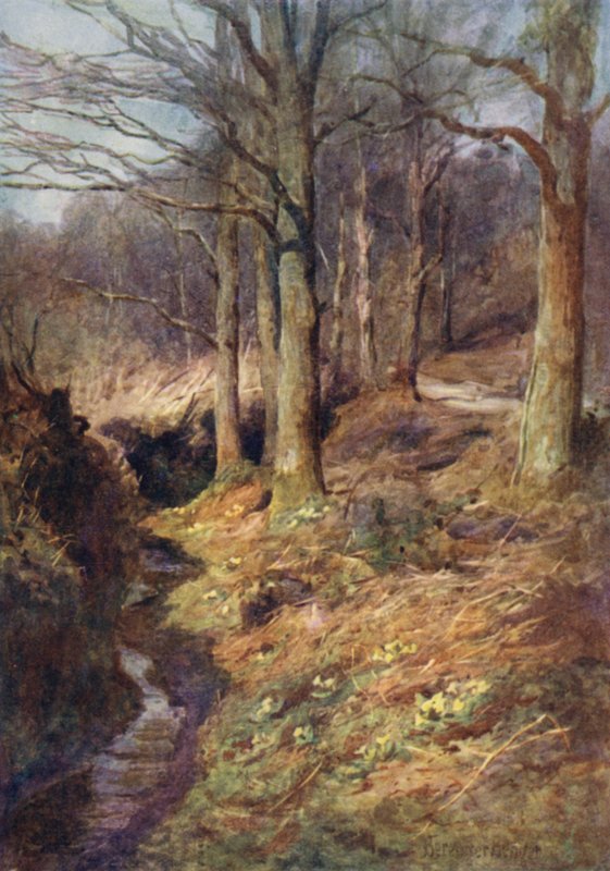 When Spring Awakens in the Woods by Ernest Benger or Berenger