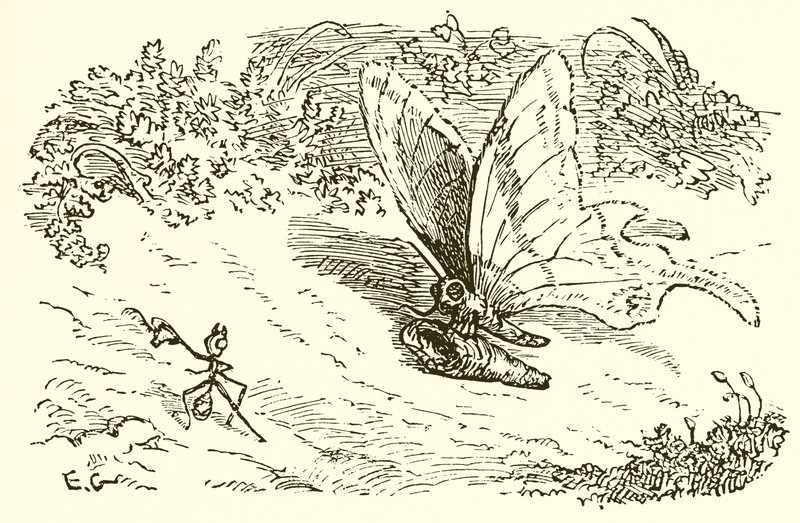 The Ant and the Chrysalis by Ernest Henry Griset