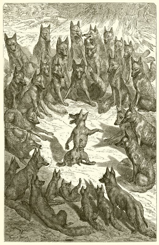 The Fox Without a Tail by Ernest Henry Griset