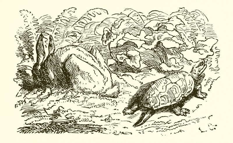 The Hare and the Tortoise by Ernest Henry Griset