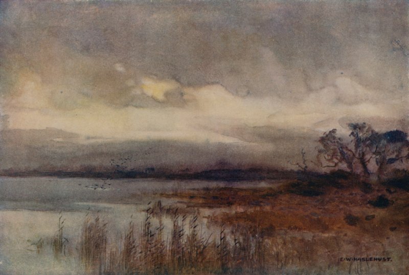 Hickling Broad by Ernest William Haslehust