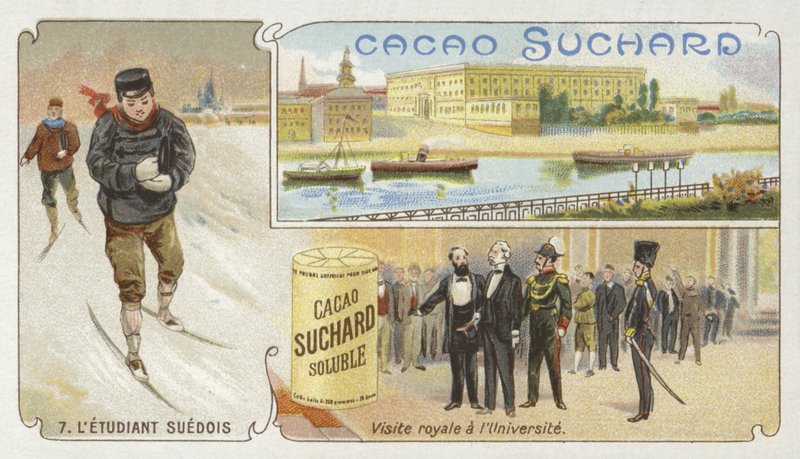 The Swedish Student by European School