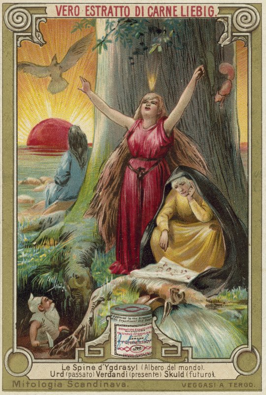The tree Yggdrasil by European School