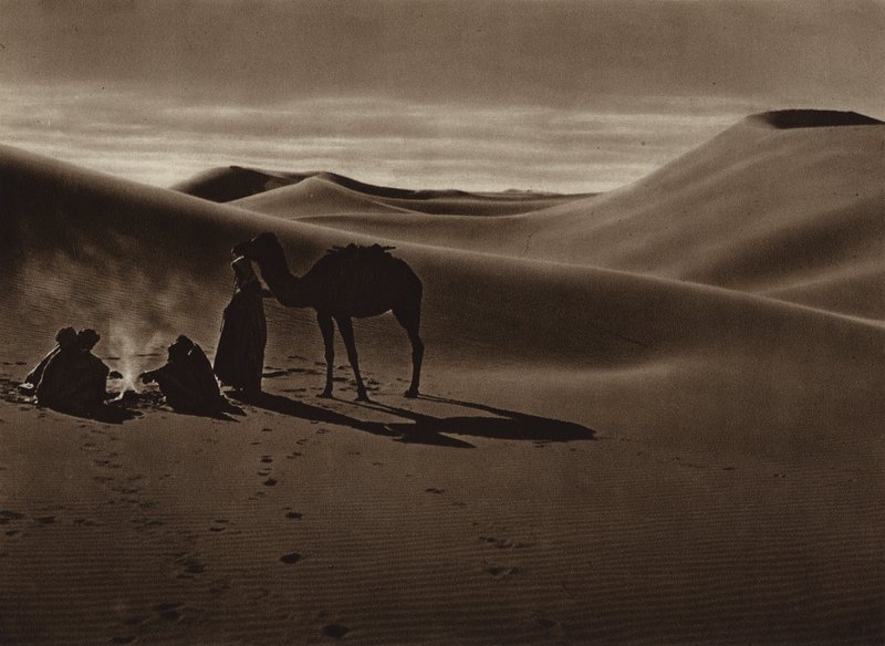 Evening in the desert by European Photographer
