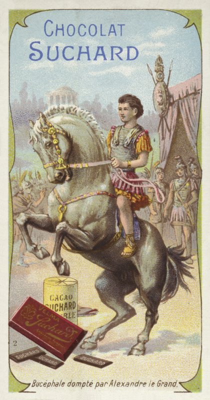 Bucephalus Tamed by Alexander the Great by European School