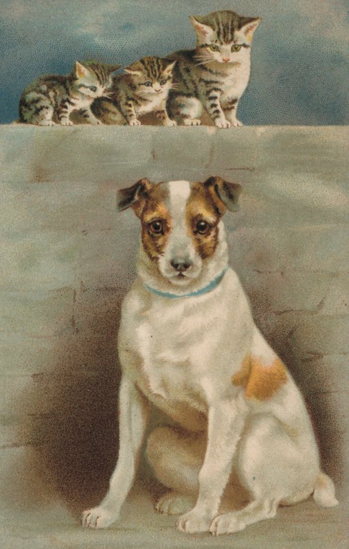 Cats Observing a Dog by European School