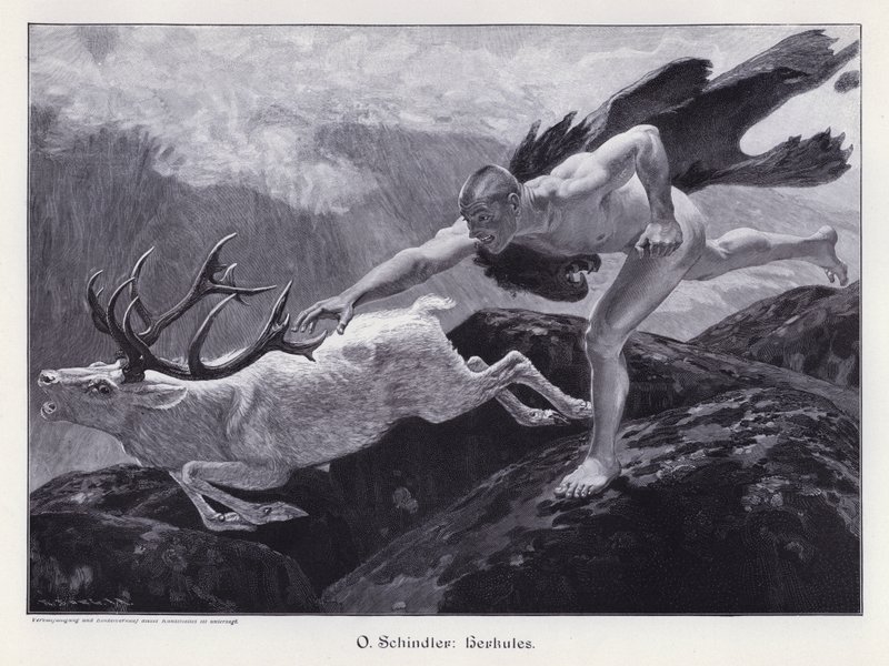 Hercules by European School