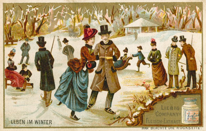 Life in Winter by European School