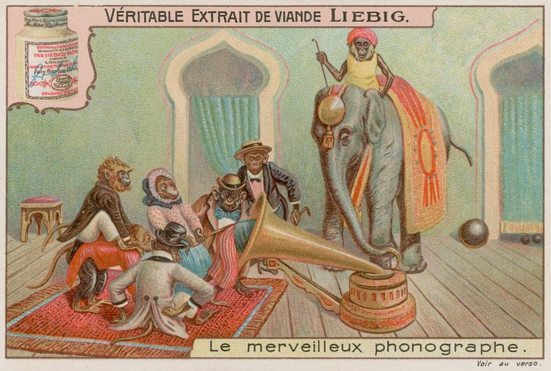 Monkeys and a gramophone by European School