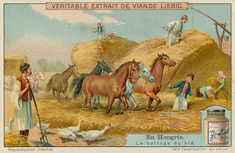 Threshing the Wheat Crop by European School