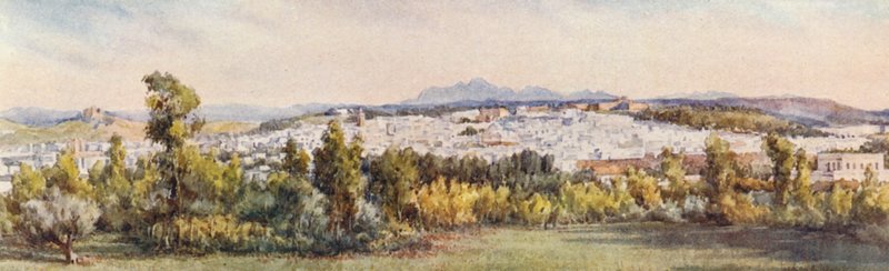 Tunis from the Belvedere by Frances Nesbitt