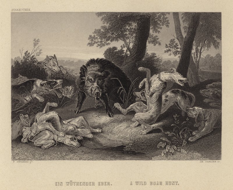 A Wild Boar Hunt by Frans Snyders or Snijders