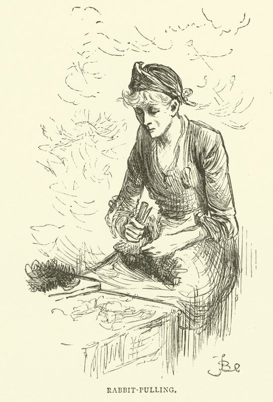 Rabbit-Pulling by Frederick L. Bernard