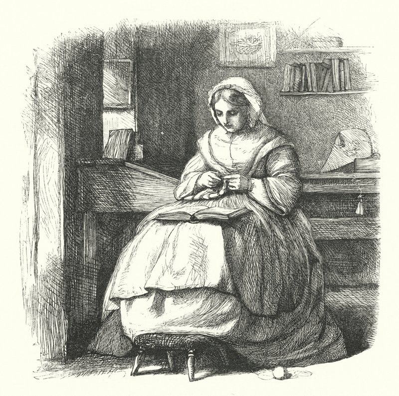 The Nursing Friend by Frederick Walker