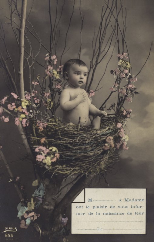Baby in a Nest by French Photographer