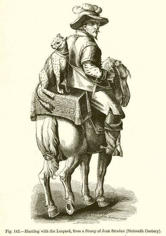 Hunting with the Leopard by French School