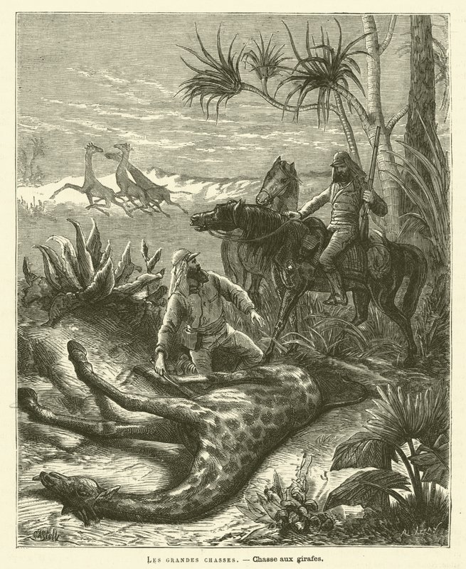 The Great Hunts by French School