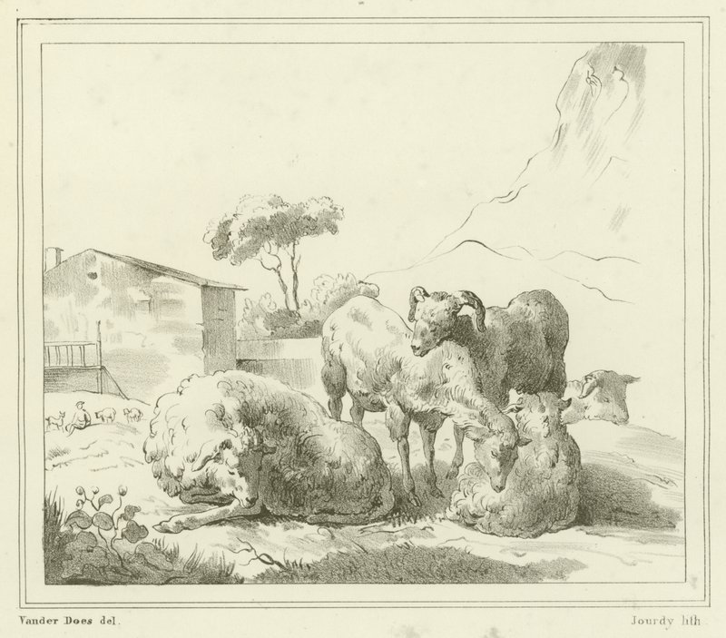 Sheep in a Landscape by French School
