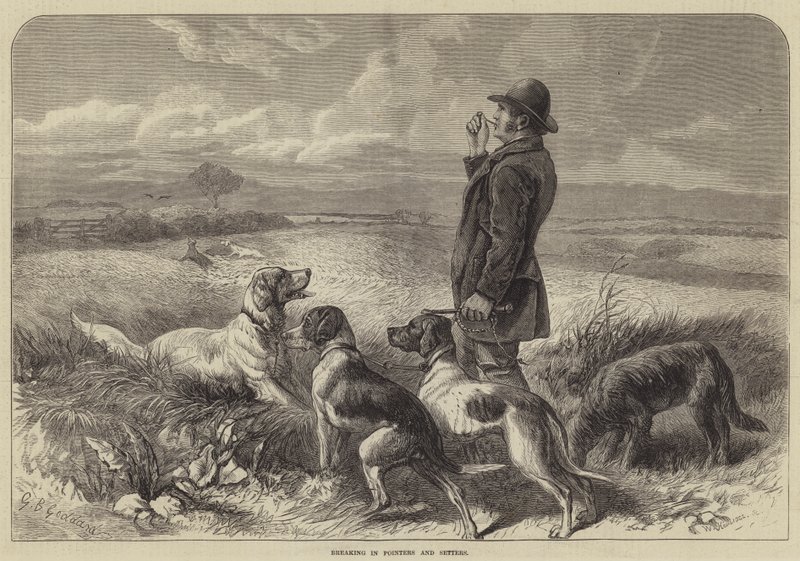 Breaking in Pointers and Setters by George Bouverie Goddard