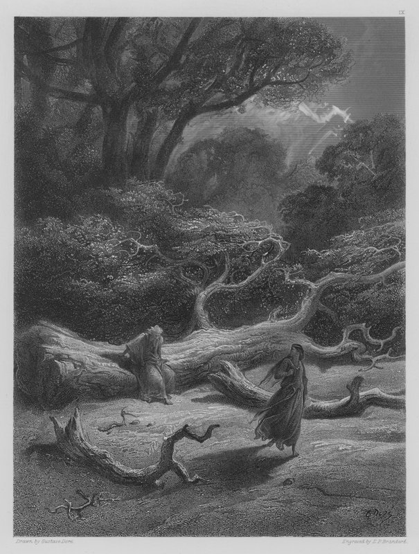 Vivien Encloses Merlin in the Tree by Gustave after Dore